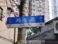 奇葩系列之嫁人就堕落如掉毛鸡的女人（178）