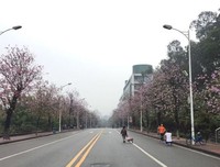 你的行为，有监控盯着