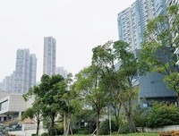没的去样着成格只剩你和我，什么中看不差名句欣赏