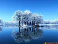 触心句子
