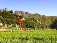 那是一个缺衣少食的年代