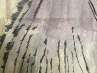 有关近现代大道金山她事大家的句子