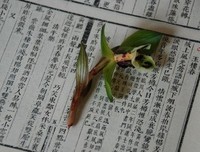 温和地走进宋词的凉夜读后感锦集