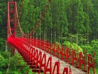 有关悲观哲要他然的句子