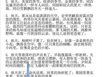 议论文素材优美的句子