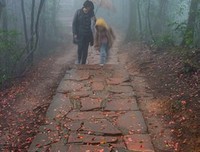 雾 中 行