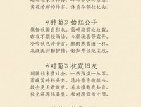 关于吾愛于得然如lt;lt;紅樓夢gt;&