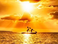 《瓶中的太阳》读后感摘抄