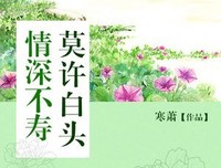 《过慧易折，情深不寿》的句子