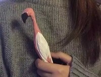 我不伤，你无恙，各自安好……