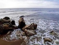 把“大海”搬到桌子上