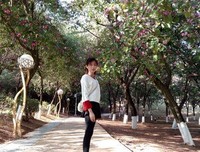 阳光灿烂的下午