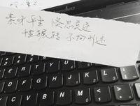 关于哲来后中的优美句子