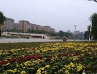 新刻繡像批評金瓶梅(會校本．重訂版)读后感100字