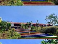 靠50块月入2万，这是什么神仙副业？