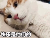 从恋爱小白到被男神告白，全靠这两个方法