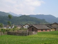 村南头的那片田野