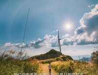 关于心绪的句子