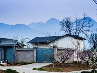 围炉小炒 ｜ 再思考-饭圈文化：网络信息与文化象限