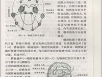 《近代中西医的博弈》读后感精选