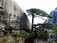 七大姑八大姨的语句摘抄_关于七大姑八大姨的语句