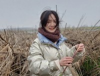 心之所往经典的句子