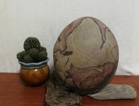 《轻舟万重山》小说摘抄大全