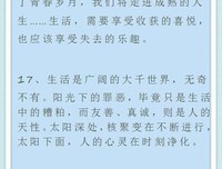 旅第下可自想，也收集自想。优美的句子