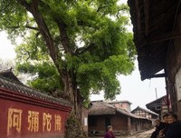 生命有厚度，方能活得通透