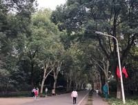 那时，空气很慢，人们的衰老也慢 | 陶淑薪 · 郑在读诗