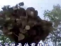 《太极张三丰》经典观后感有感
