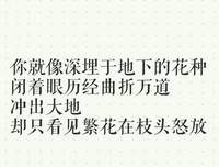关于随想的句子