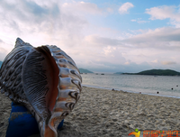 综合经典名句