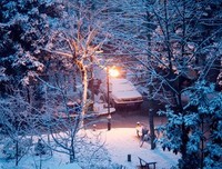 风霜雨雪的名句_关于风霜雨雪的名句