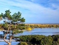 哲那天，深刻经典的句子