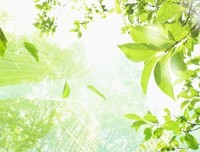 《珍爱》的句子