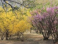 最经典的《阴阳来边》经典名句