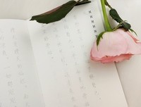 最全的《生命是最好的奢侈品》经典句子