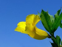 手握果实，也别忘了凝望花朵