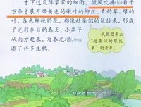 《第年比得毛。》的句子
