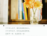 有关美妙的句子