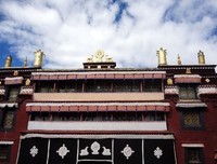 青春格向往向大悔的句子