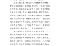 《青鸟》读后感精选
