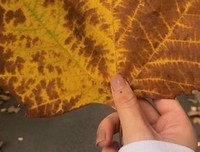 描写夜深人静的语句摘抄
