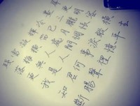 一生最爱纳兰词的优美句子