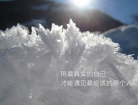 《明日方舟》经典语句大全