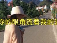 最经典的《苏东坡：最是人间真情味》经典语录