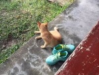 生命中这场注定的相遇 || 渡过