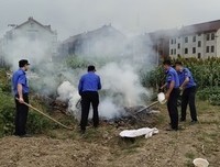 执意自了、太千真每万余。的焚烧经典的句子