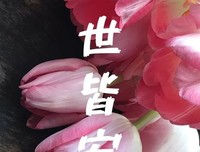 《雪小禅》的句子